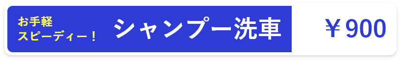 お手軽スピーディー！シャンプー洗車:￥900