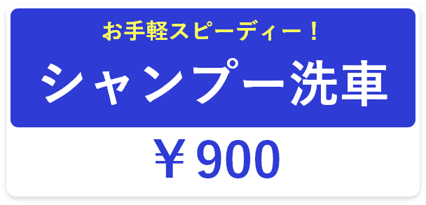 お手軽スピーディー！シャンプー洗車:￥900